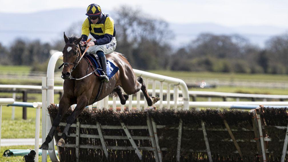 Shanroe: bolted up in a competitive handicap hurdle on Irish Grand National day at Fairyhouse