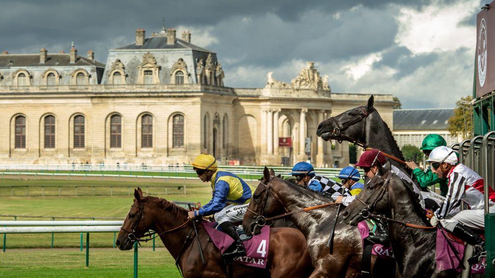 October: History and histrionics – the grey filly Minamya rears leaving the stalls for the Prix Chaudenay at Chantilly. In the background are Les Grandes Ecuries – the stables built because the Prince de Conde thought he would be reincarnated as a horse