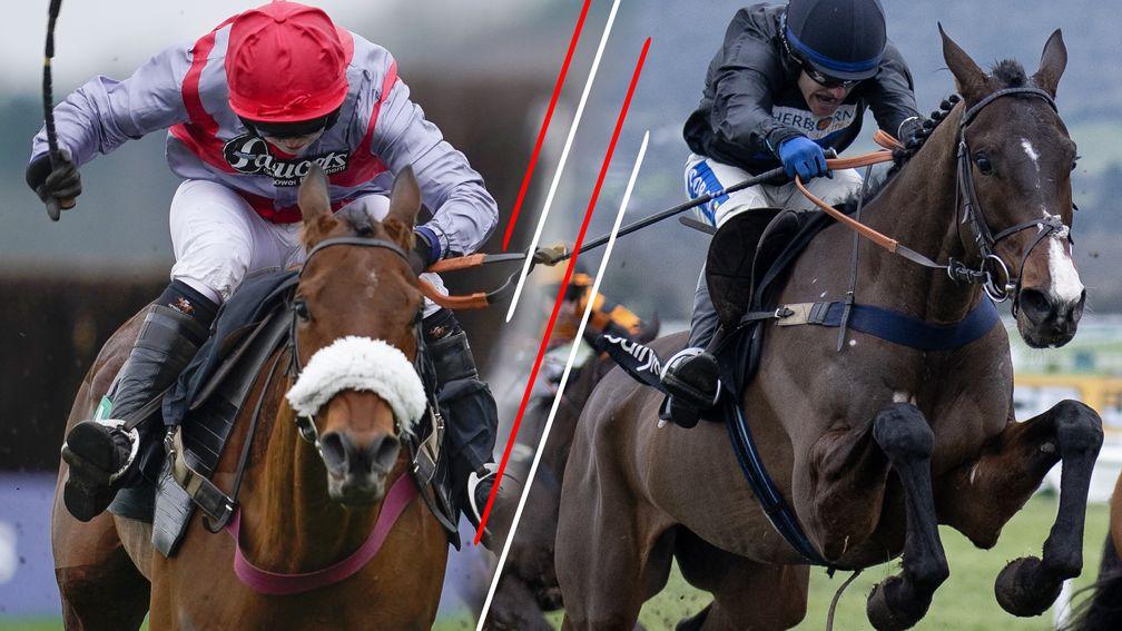 Fanion D'Estruval (left) and Rock My Way could outrun their long Cheltenham odds