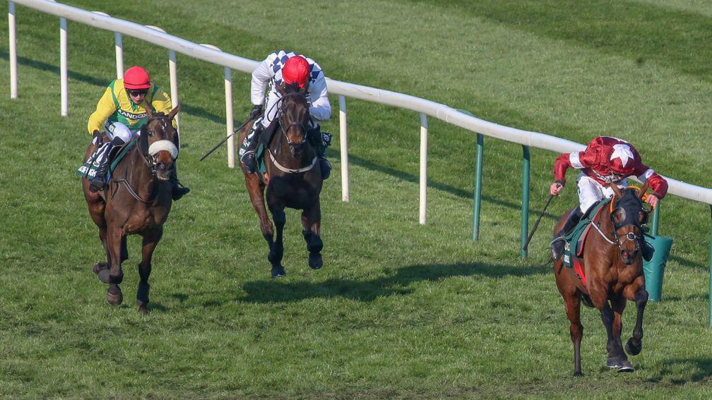 Best winner: Tiger Roll earning the highest winning rating in the Grand National for 46 years