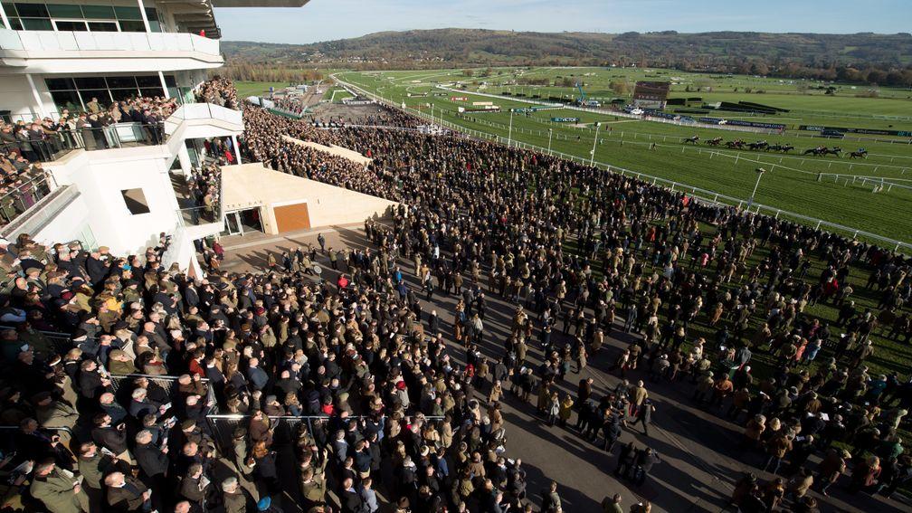 Runners in the amateurs chase pass the stands for the first time. The race was won by What A Moment Cheltenham 17.11.17 Pic: Edward Whitaker