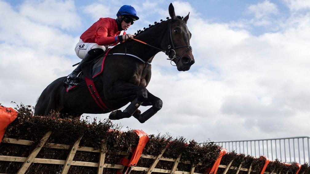 Quilixios: one of two entered in the Finale Juvenile Hurdle for Gordon Elliott