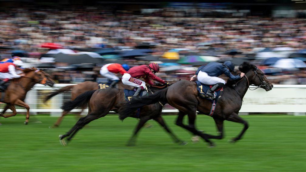 Royal Ascot: BHA exemption ruling will enhance a horse's chances of getting a run in June