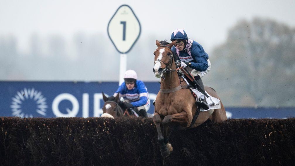 Capeland: useful chaser one of two runners for race ace Paul Nicholls