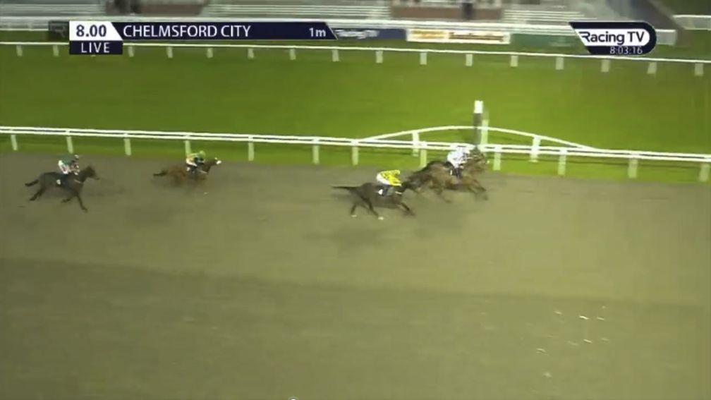 Pat Cograve eases up too early on Concorde (purple silks) and loses the mile handicap