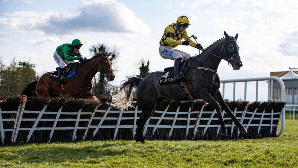Gaillard Du Mesnil: currently leads the betting for the National Hunt Chase