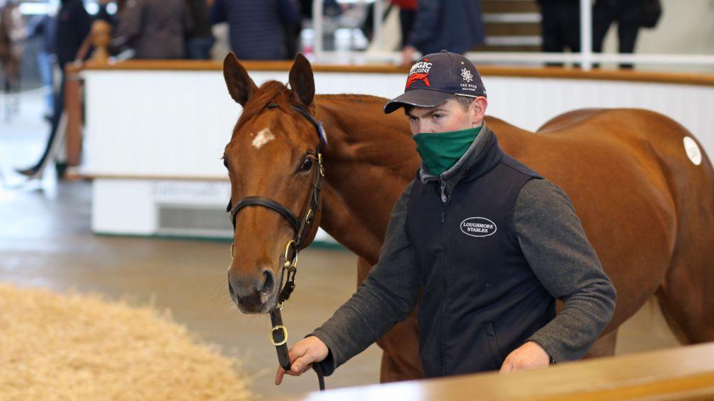 Lot 1,367: the Mehmas colt out of Araajmh goes to Tom Goff for 130,000gns
