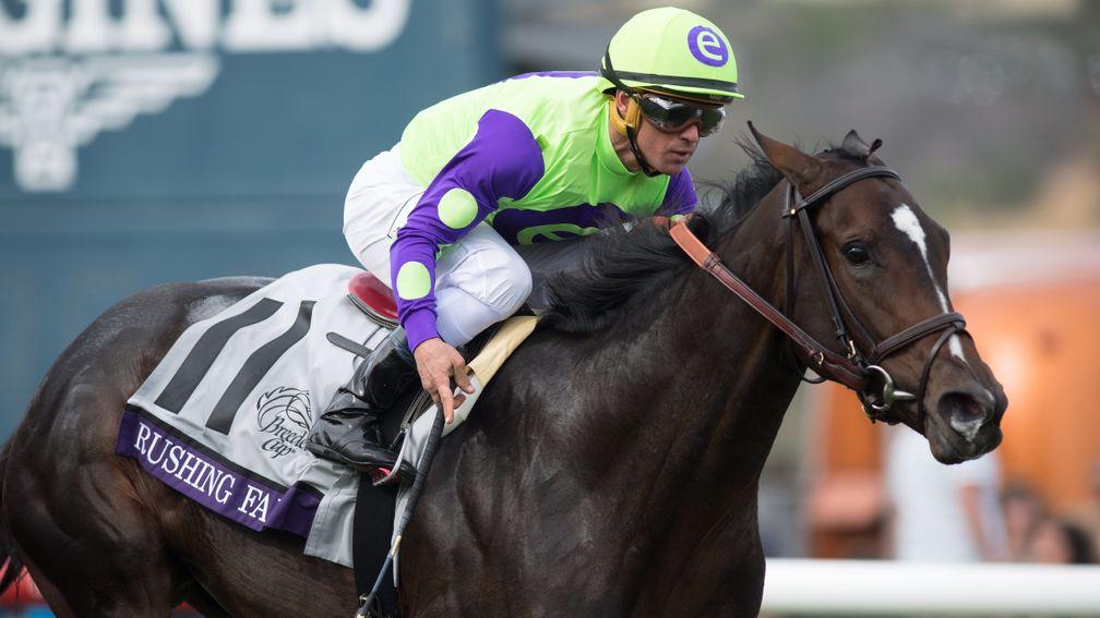 Rushing Fall: the daughter of More Than Ready lands the Breeders' Cup Juvenile Fillies Turf at Del Mar