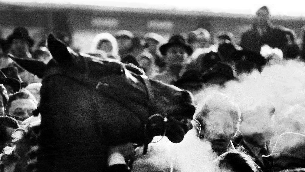 Arkle – also known as 'Himself' – is led in after defeating Mill House in the 1964 Gold Cup