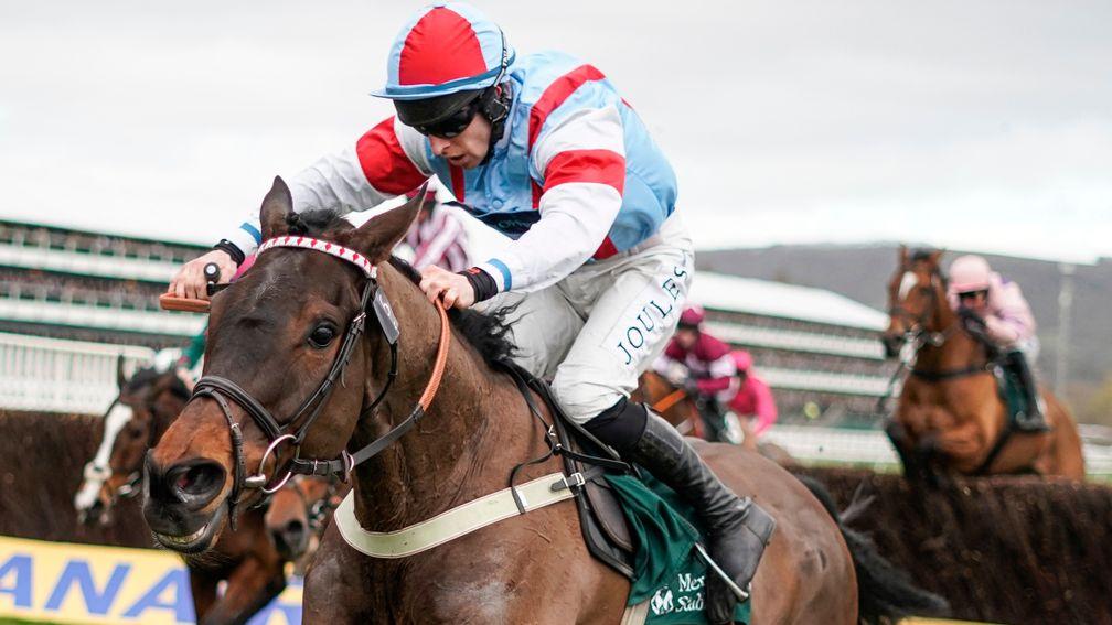 Simply The Betts: Paddy Power Gold Cup preparation has gone well