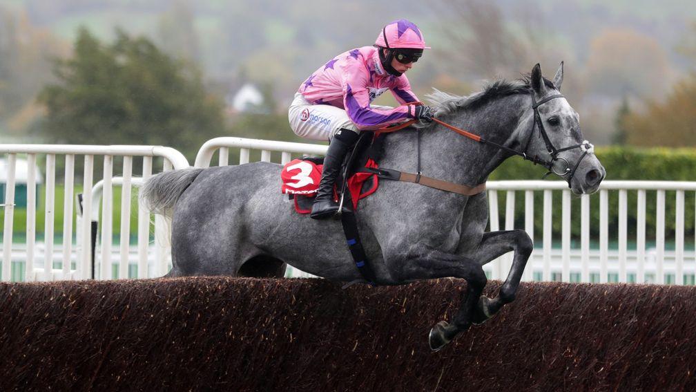 Southfield Stone: has finished in the first three in all six of his chase starts