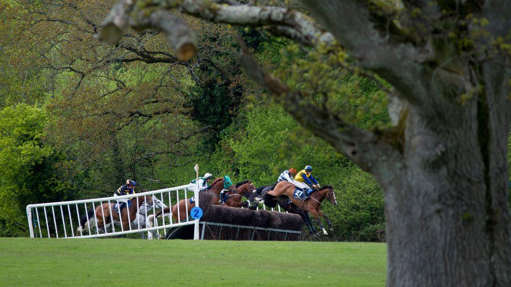 Point-to-point racing in England is set to restart on March 29