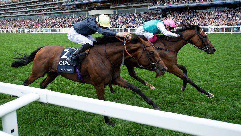 Crystal Ocean (nearside) goes neck and neck with Enable in last month's King George