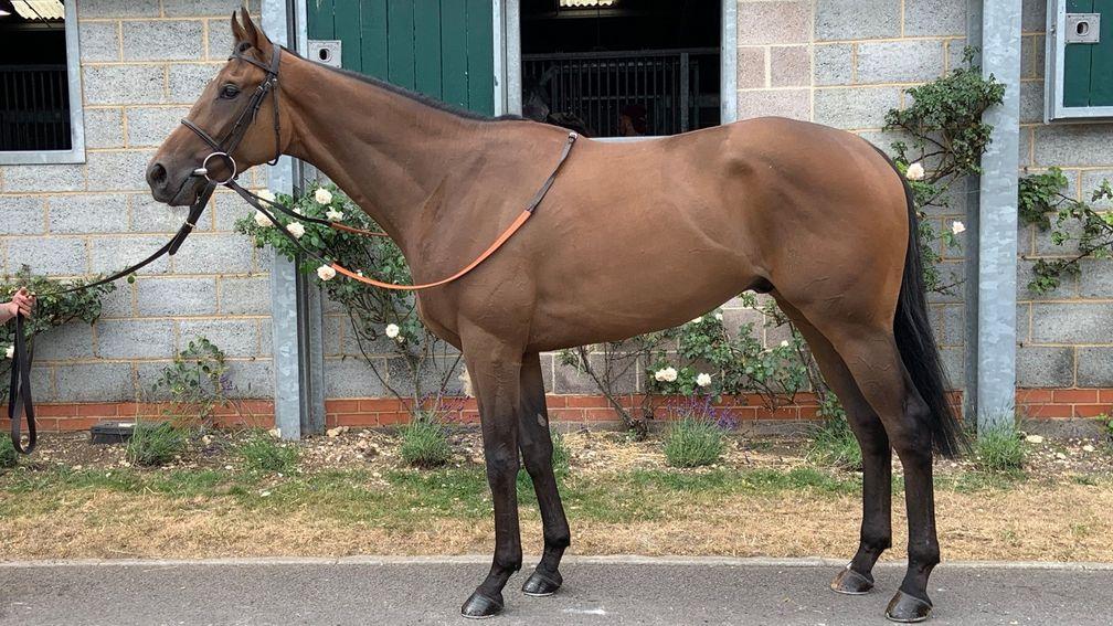 Postmark by Postponed topped the ThoroughBid July Sale