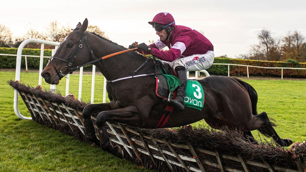 Abacadabras: will tackle three miles for the first time at Leopardstown