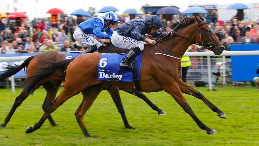 Olympicus is a half-brother to Yorkshire Oaks heroine Tapestry