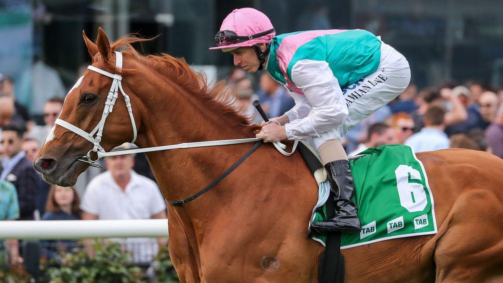 Finche: Khalid Abdullah's son of Frankel features prominently in the Melbourne Cup betting