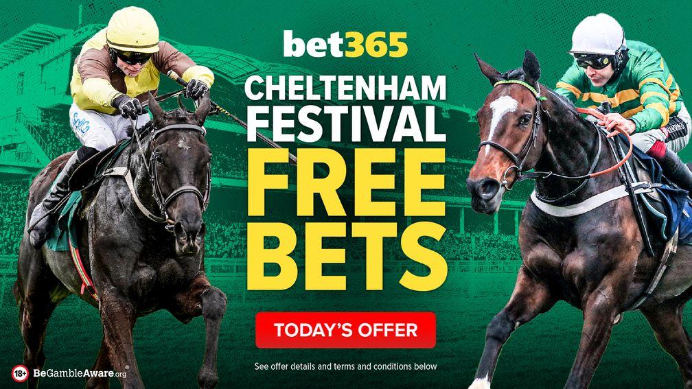 bet365 cheltenham festival free bets