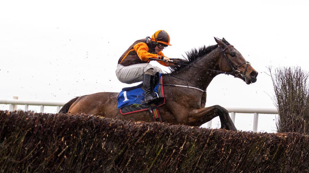 Noble Yeats and Sean Bowen land the M W Hickey Memorial Chase at Wexford