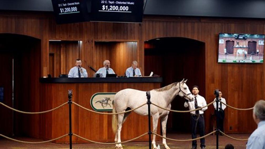 The $1.2m Tapit colt in the ring on Tuesday