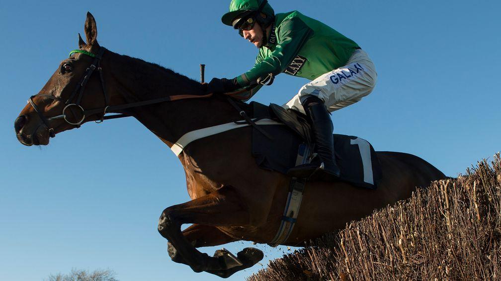 Top Notch: yard favourite will aim for third Peterborough Chase win