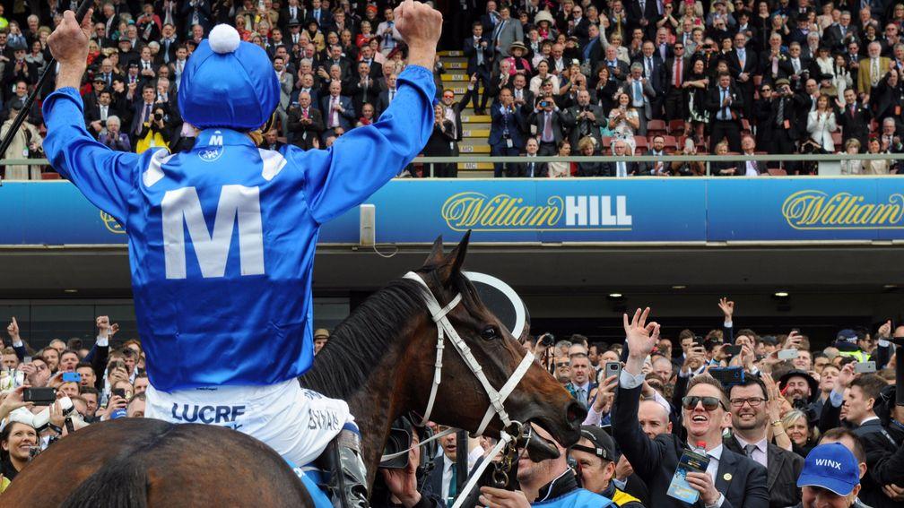 Winx: the world's top-rated horse on turf has captured the hearts of a nation - and beyond