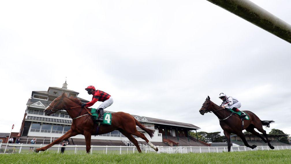 THIRSK, ENGLAND - JUNE 22: Jockey David Allan riding Little Ted approach the finish line to win the Harrogate Spring Water Supporting British Racing Handicap at Thirsk Racecourse on June 22, 2020 in Thirsk, England. (Photo by David Davies/Pool via Getty I