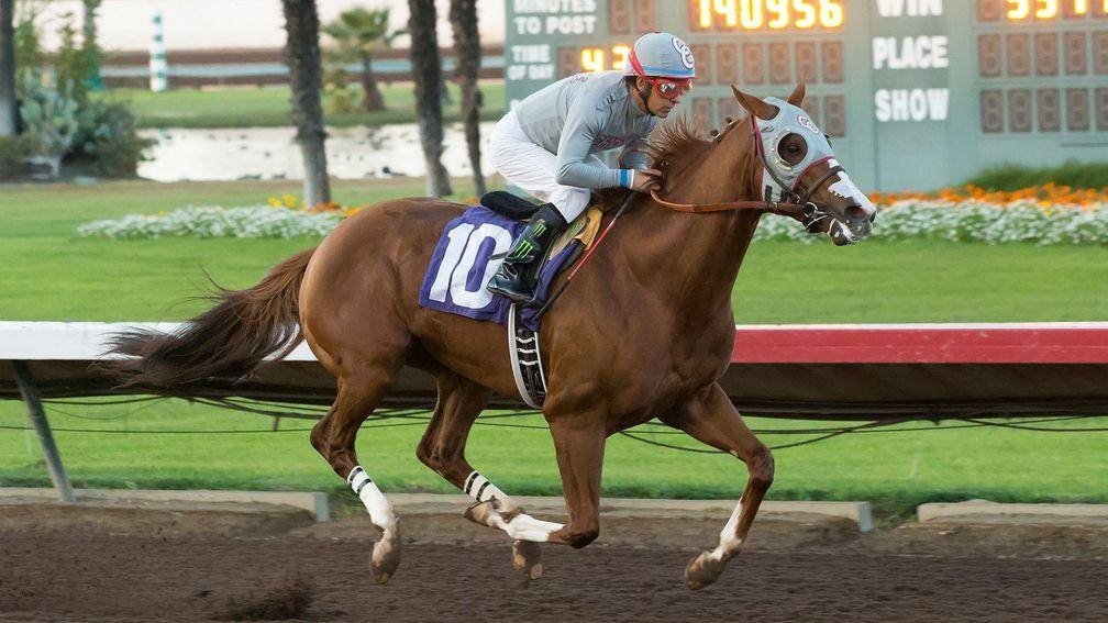 US great California Chrome was a winner at Los Alamitos but recent fatalities has left the track under a cloud