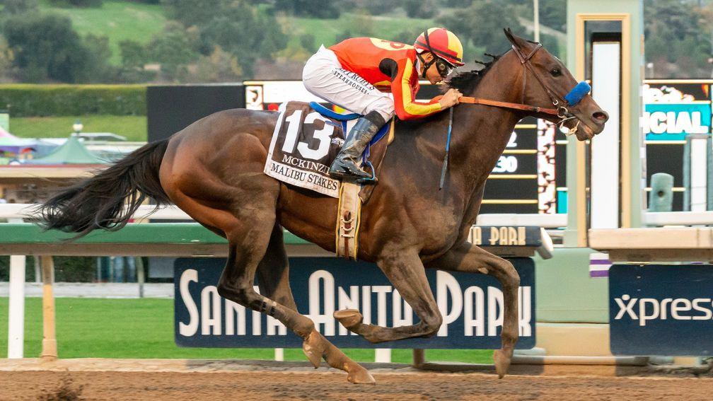 McKinzie: 6-1 favourite for the Breeders' Cup Classic