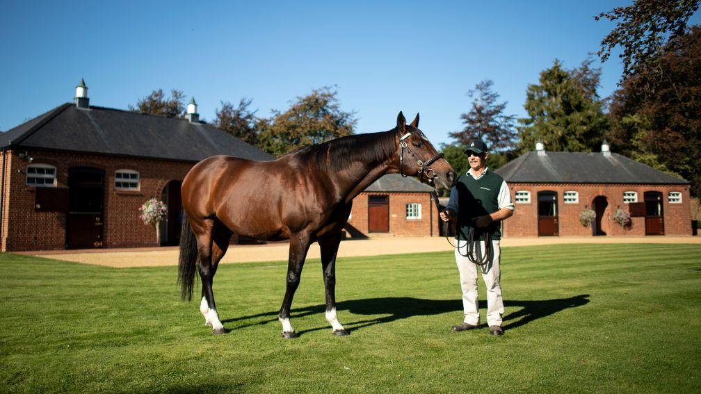 Frankel: our sire of the year for 2021 and plenty to come in 2022