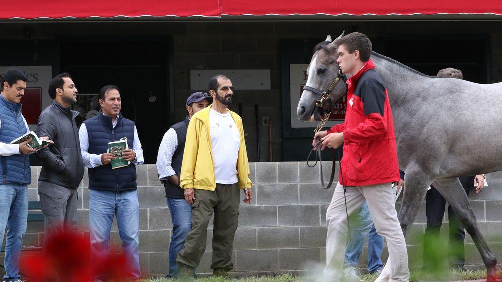 Sheikh Mohammed (yellow jacket) and entourage inspect the stock at Keeneland