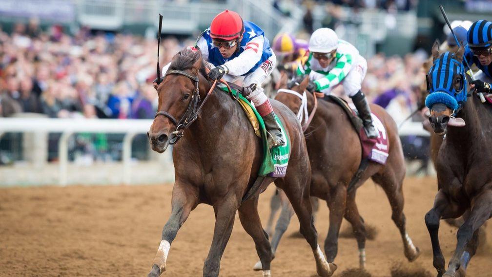 Runhappy: returns to the Breeders' Cup