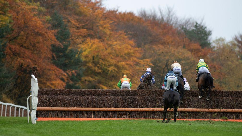 Runners in the 3m handicap chase won by Scoop The Pot (right) jump the 3rd fence in the 3m handicap chaseExeter 6.11.18 Pic: Edward Whitaker