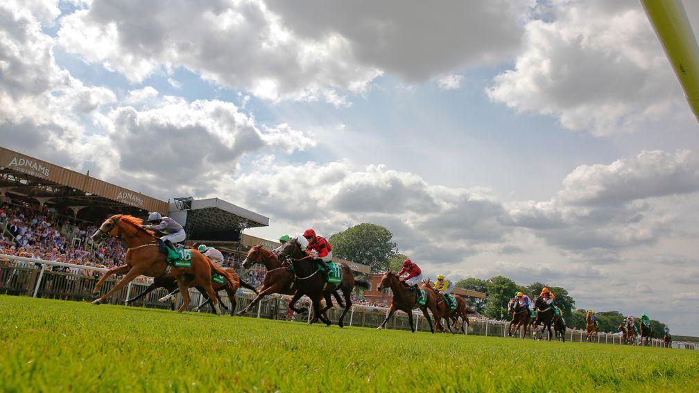 Should Newmarket stage racing and music events together?