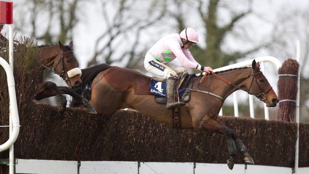 Blazing Tempo was a multiple winner at graded level for Willie Mullins