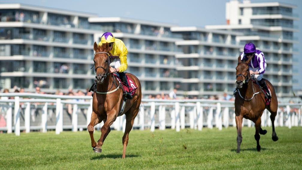Sea Of Class (yellow): won the Haras De Bouquetot Fillies' Trial Stakes a year ago