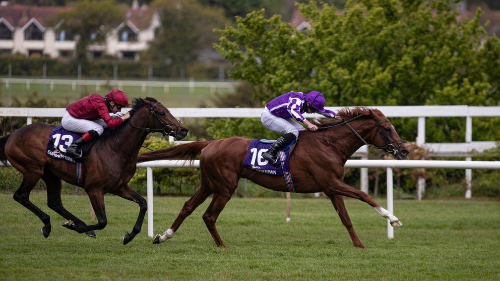 The Mediterranean (leader): reopposes with Ruling (second) in the Listed Nijinsky Stakes at Leopardstown