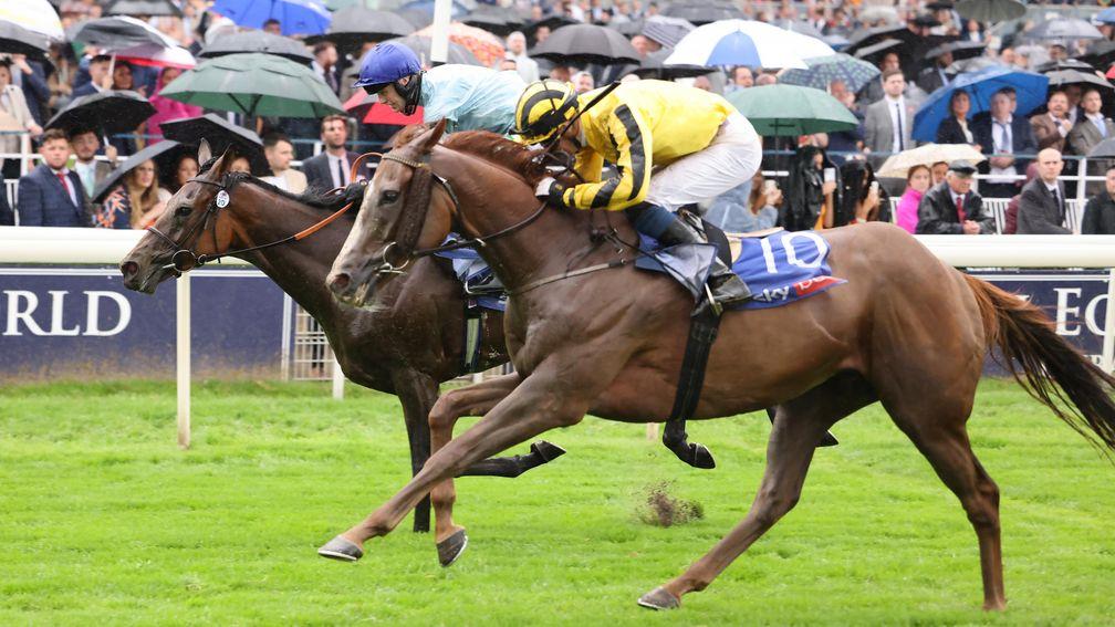 Sonnyboylisten (nearest) toughs it out with Quickthorn to win a thrilling Ebor on Saturday