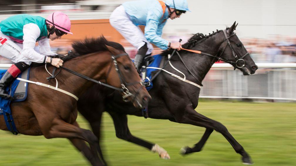 Marie's Diamond (blue), one of 31 Group winners by Footstepsinthesand, lands the Anglesey Stakes at the Curragh