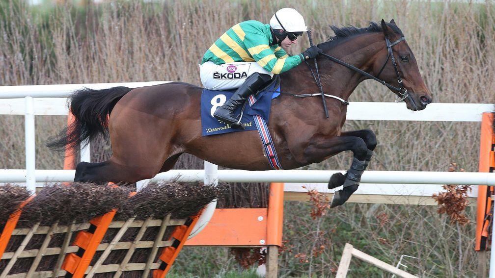 Sir Erec: Triumph Hurdle favourite will find his way into plenty of Yankees and Lucky 15s