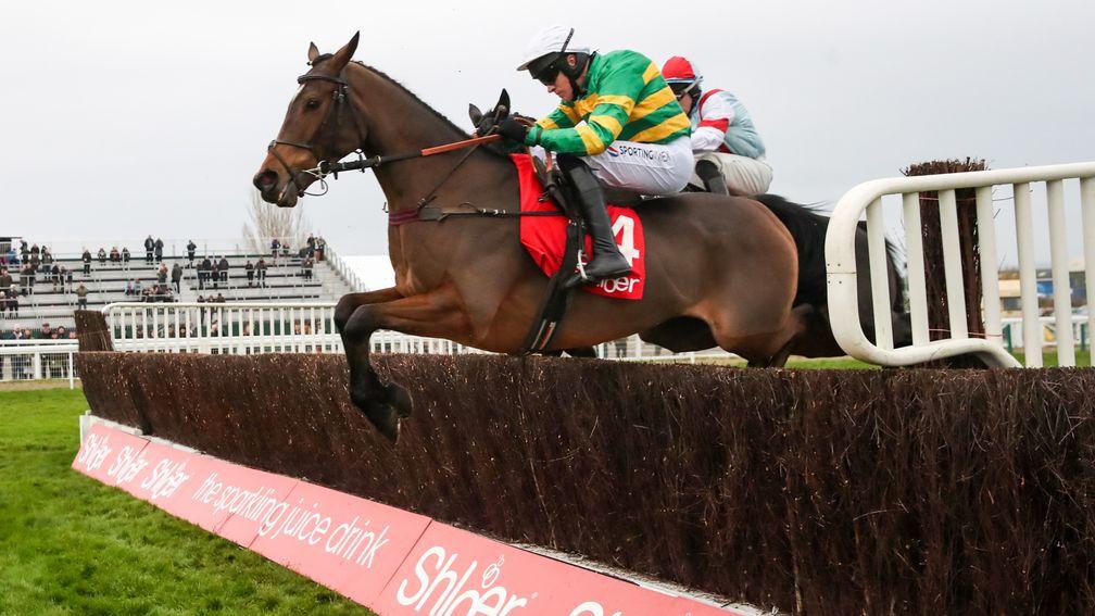 Defi Du Seuil: excited Pat Murphy at Cheltenham on Saturday