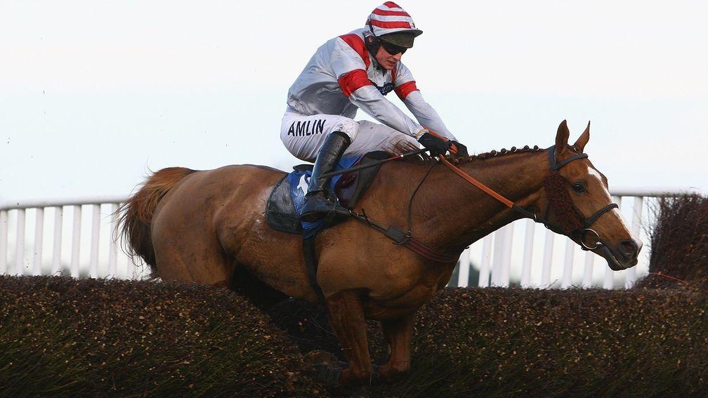 CHEPSTOW, WALES - DECEMBER 28:  Dream Alliance ridden by Tom O'Brien jumps the last and goes on to land The Coral Welsh National (A Handicap Steeple Chase) run during Chepstow Races on December 28, 2009 in Chepstow, Wales.  (Photo by Julian Finney/Getty I