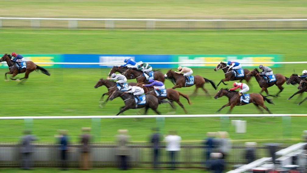 The Cornwallis Stakes has attracted has once again attracted a big field of speedy juveniles
