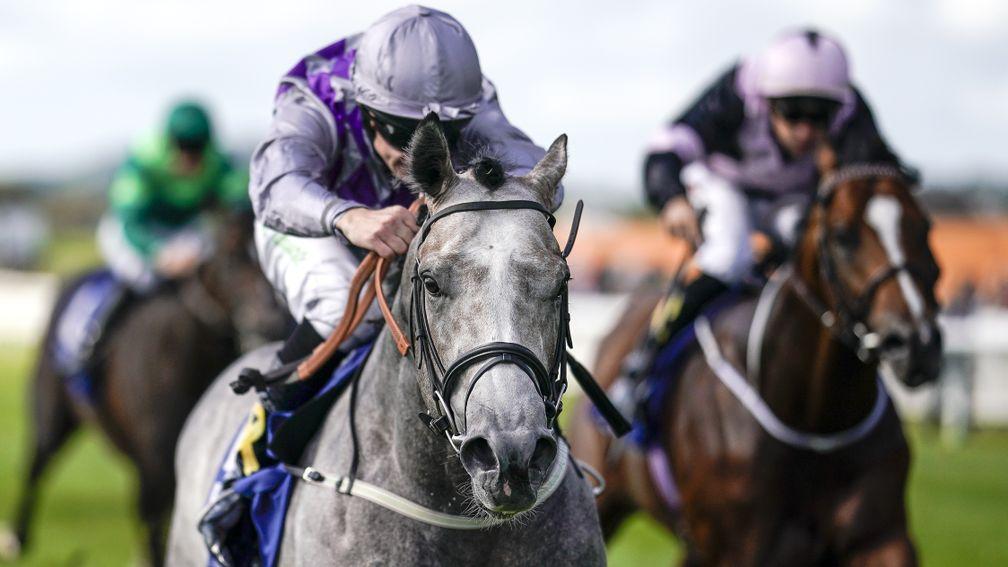 Havana Grey lands the Group 1 Flying Five Stakes at the Curragh