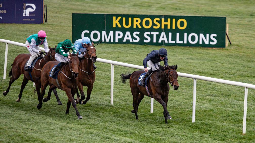 New York Angel (green) finished second on her debut at Naas and is one of three fillies running at Gowran with Classic entries
