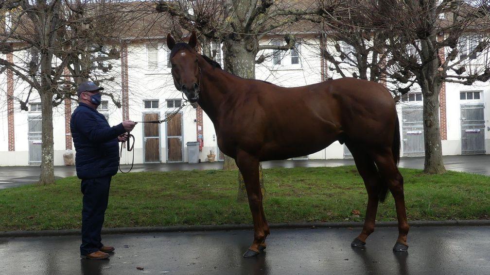 Threat will stand at Haras du Mont Goubert in his first year at stud for a fee of €6,000