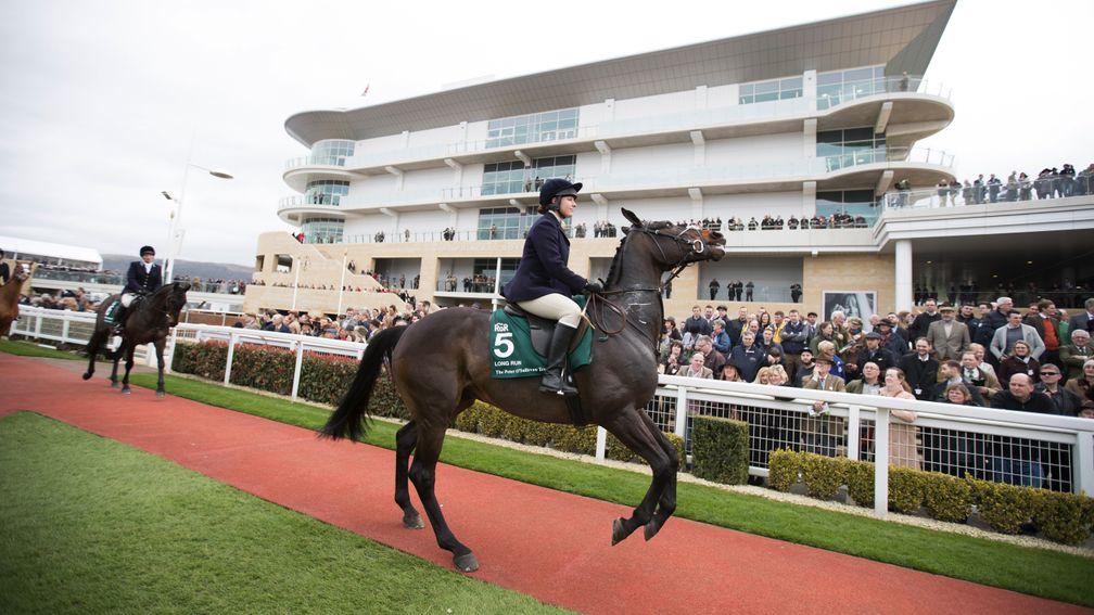 Long Run, ridden by Becky Young, enjoys being back in the limelight during the Retraining of Racehorses parade at Cheltenham