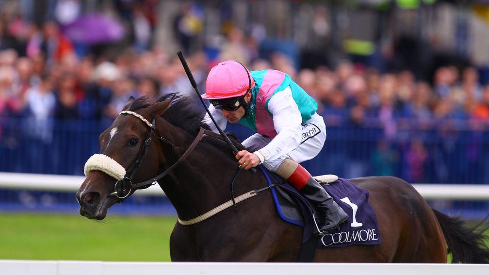 Emulous: won the Coolmore Matron Stakes under Pat Smullen in the colours of Khalid Abdullah in 2011