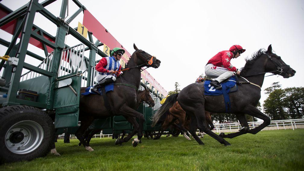 Mick Easterby's device is intended to stop horses ducking under the gate before the start