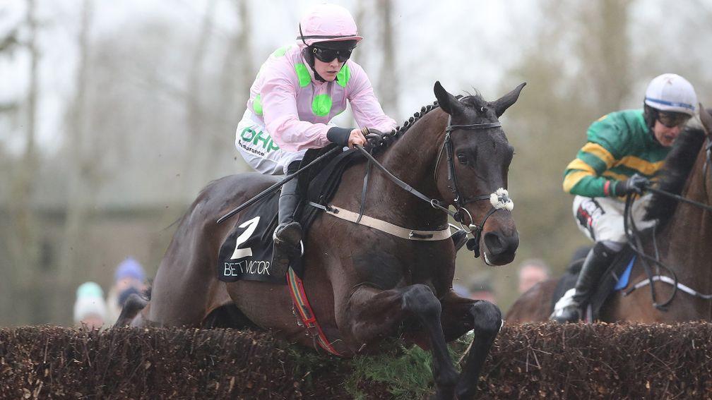 Burrows Saint: Willie Mullins' runner has come in for sustained support to win the Irish Grand National
